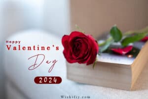 valentine's day