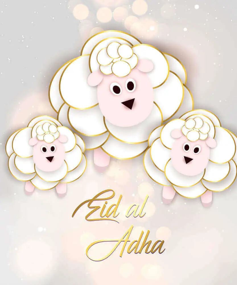beautiful and cute three sheep wishing happy eid ul adha 2023