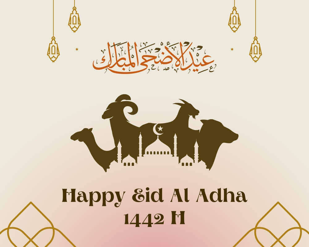 eid al adha 2023 islamic background with goat,lamb or sheep , cow and camel illustration expressing eid ul azha 2023