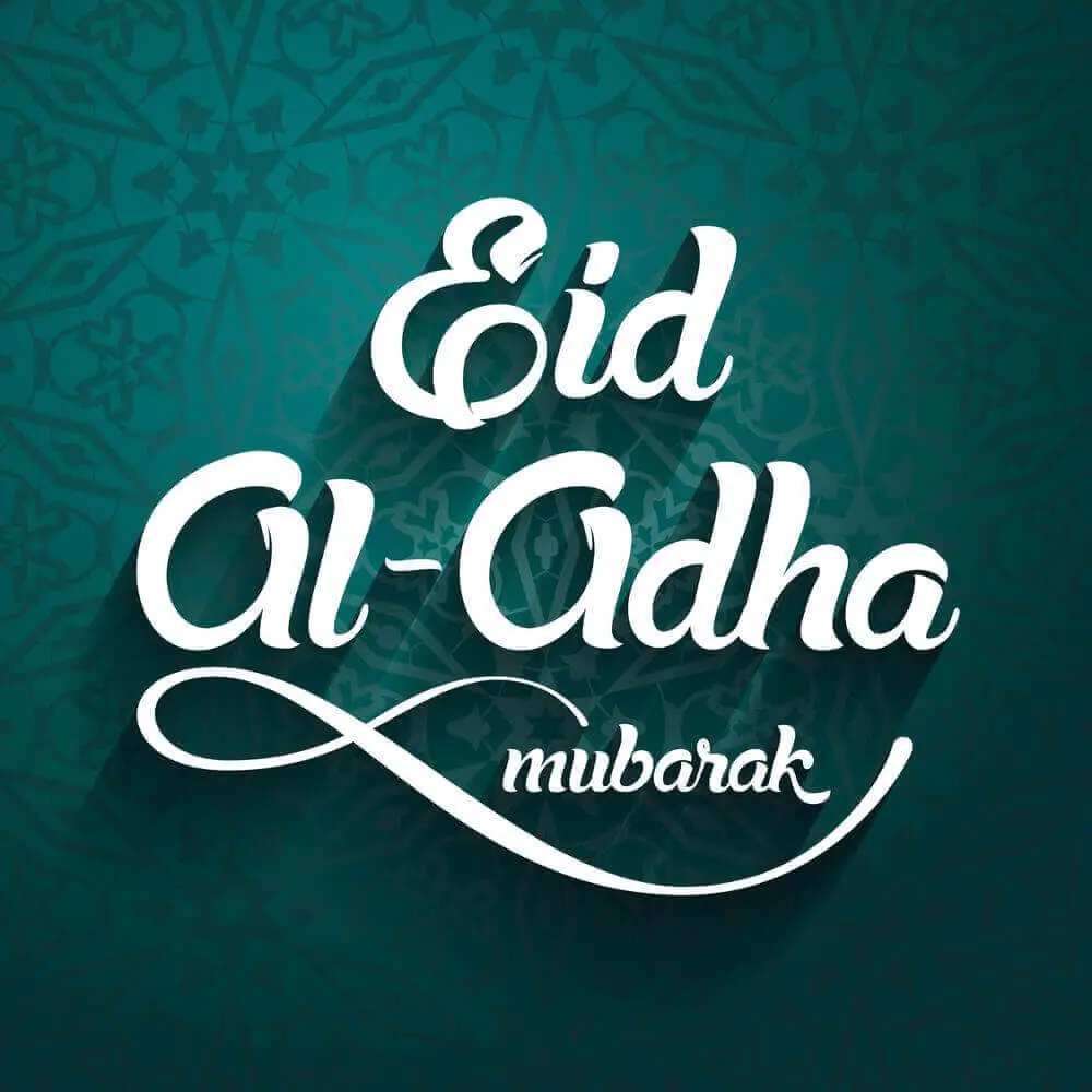 beautiful eid al adha english typography text designed on elegant green textured background showing eid ul adha 2023