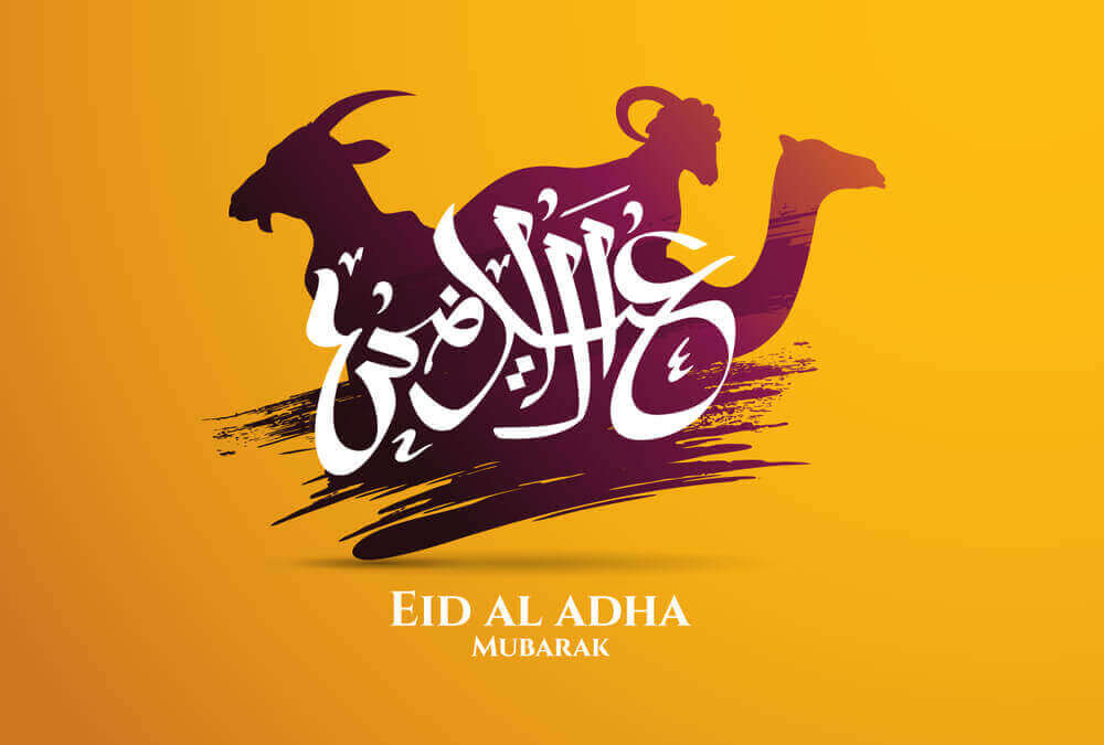 camel, goat and camel inside arabic calligraphy eid ul adha 2023 greeting