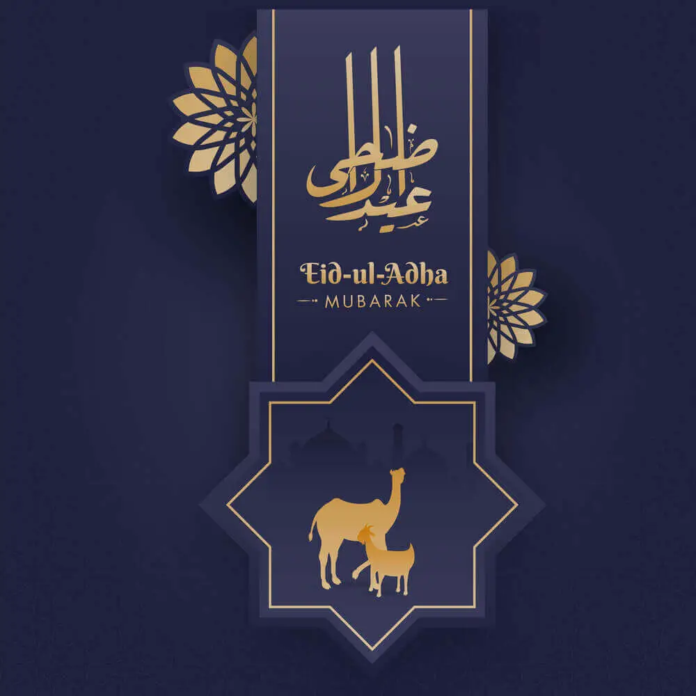 eid ul azha mubarak 2023 arabic calligraphy silhouette camel and goat wishing eid mubarak greeting