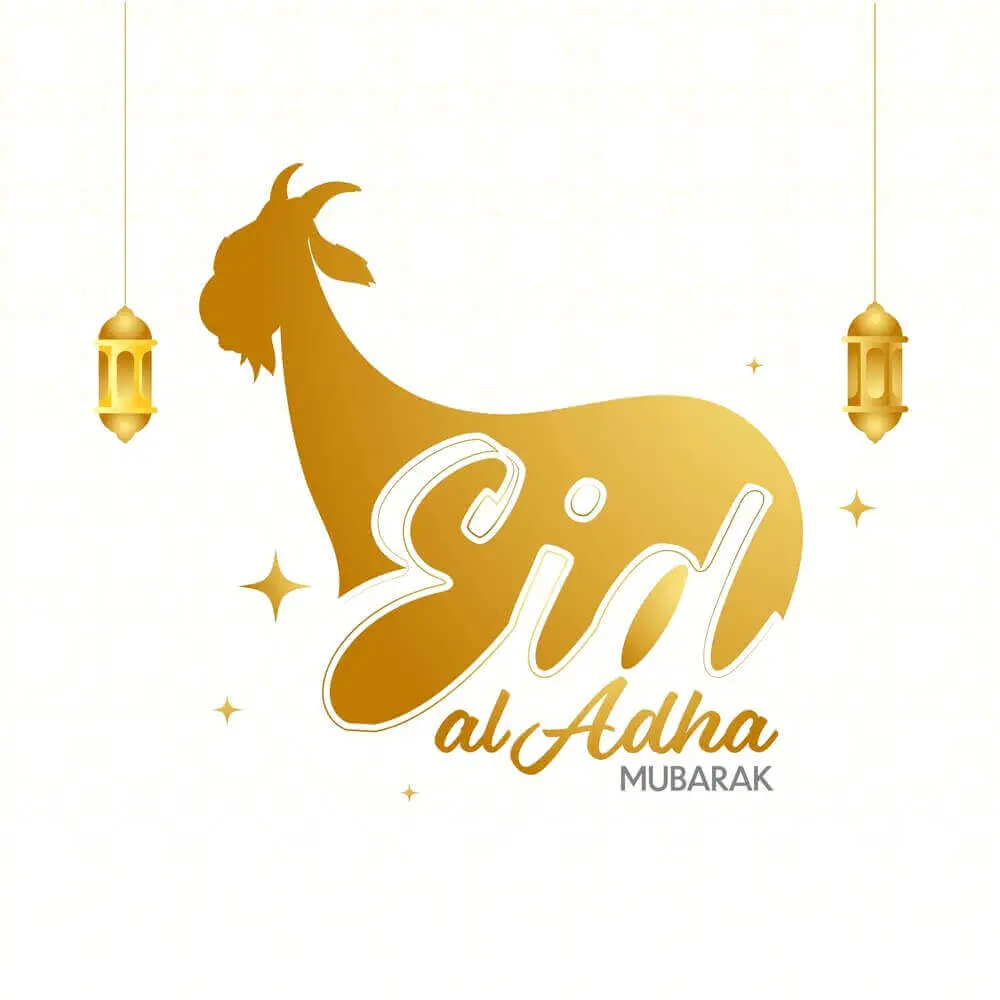 beautiful and elegant yellow color goat with english typography eid ul azha mubarak 2023