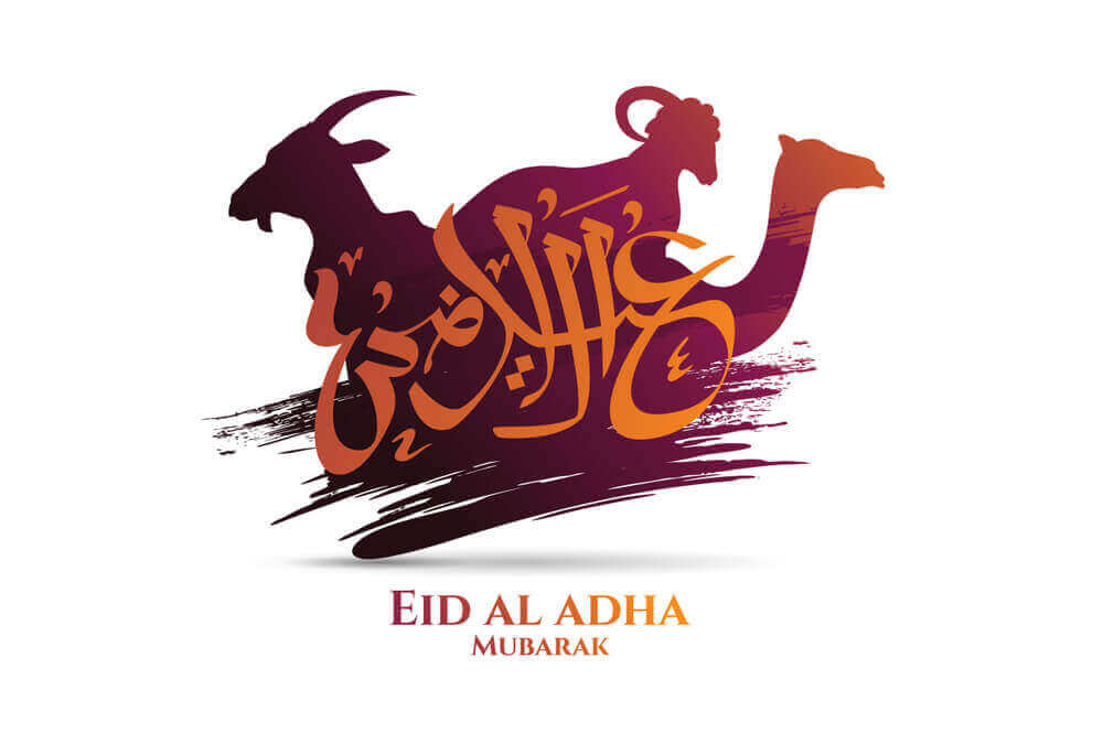 goat , sheep and camel with eid al adha arabic calligraphy text showing eid ul aadha 2023