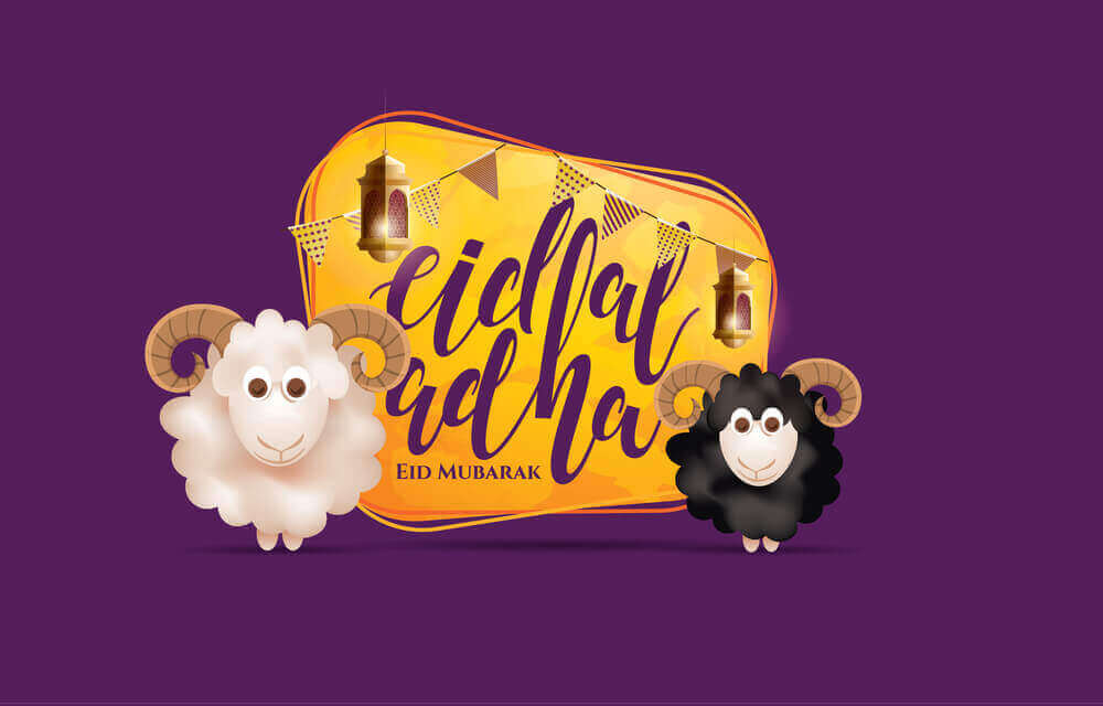 beautiful black and white sheep standing expressing eid al adha 2023 with beautiful elegant purple background