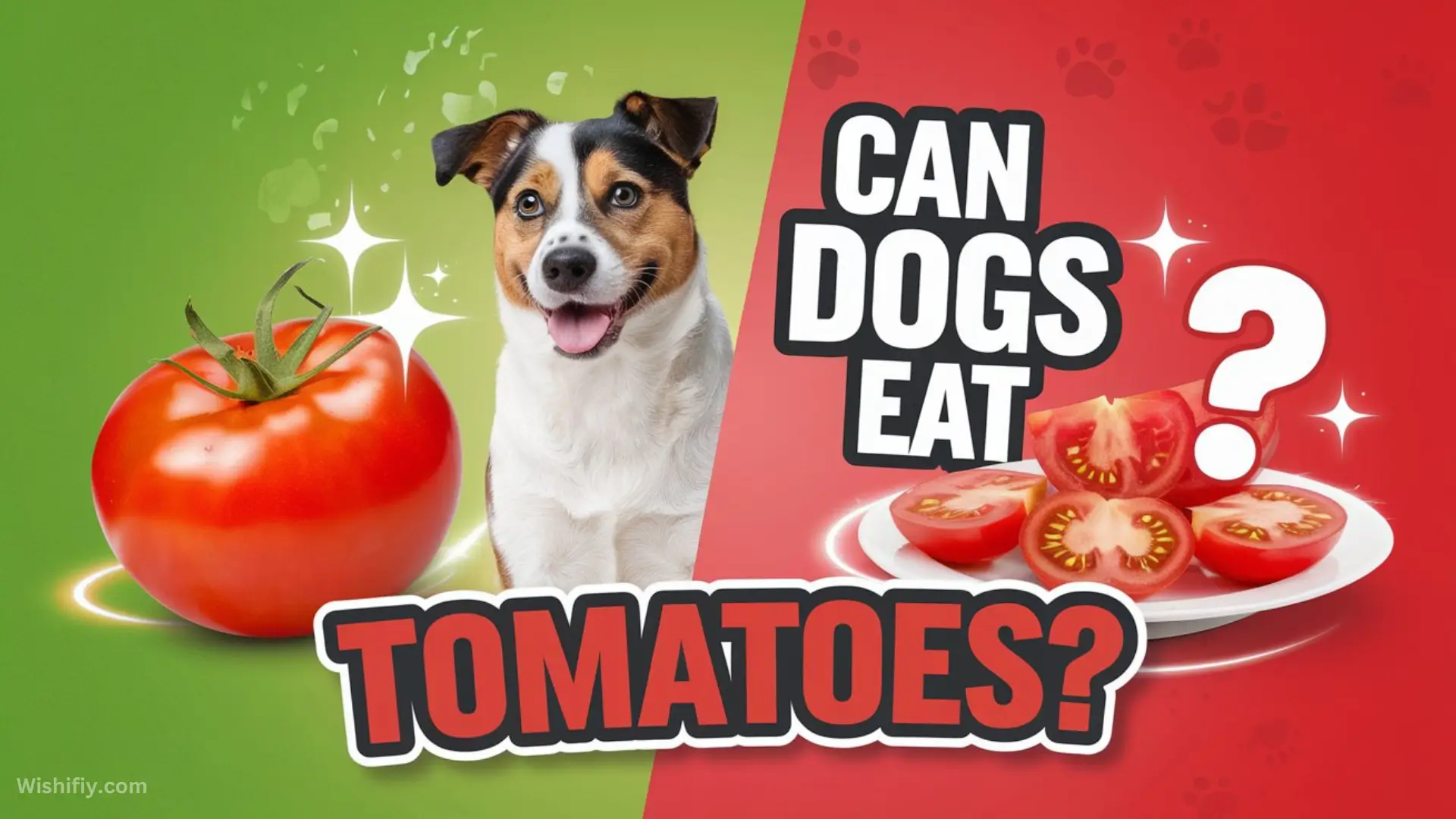 Can Dogs Eat Tomatoes?